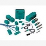 PEPPERL+FUCHS/P+F电感式传感器,ML100-8-H-350-RT/103/115