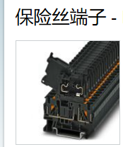 黑色的PHOENIX保险丝端子（3211861）