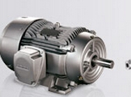 德国品牌；1TL0001-1AB52-1FA4-Z W08贝得电机