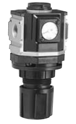 参数说明R1000-8G-W-NT喜开理空气减压阀