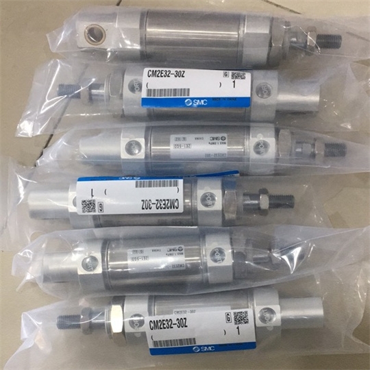 CRB1BW50-180S-XF叶片式摆动气缸日本SMC