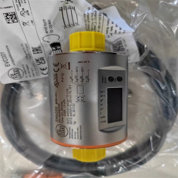 IFM爱福门流量监控器TN2105参数分析