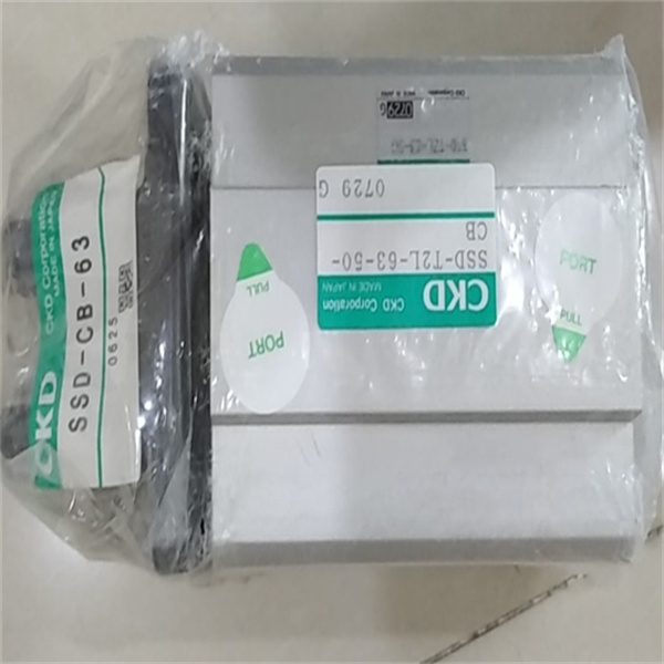 CKD卡曼涡街式传感器WFK2-250FBBAN