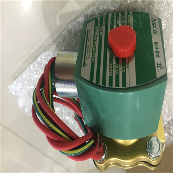 世格电磁阀R503A2B40M11BF1常见类型