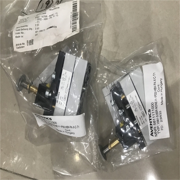 AVENTICS安沃驰直接安装形无杆气缸R414003365