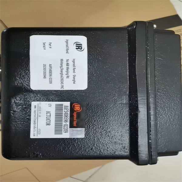 英格索兰安全阀99300600