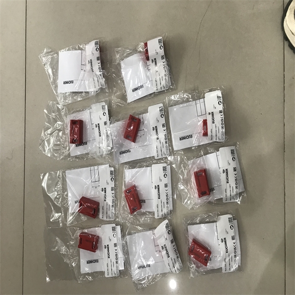 EUCHNER安士能安全开关CES-1-AR-U-C04-USA-119473