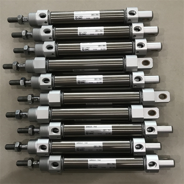 SMC带防护套无杆缸CKQPDA50-195RAHS