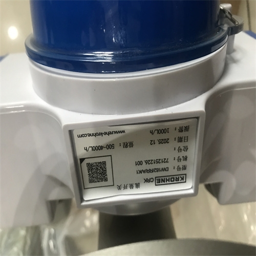 介绍krohne科隆流量开关H250/RRL/M40/K1垂直安装