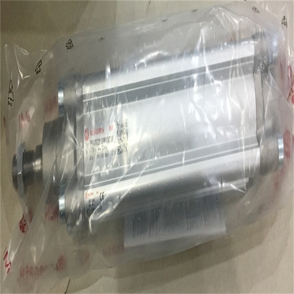 NORGREN气缸选项RM/8026/M/450