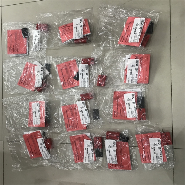 CES-AR-CL2-AH-SG安全开关105753