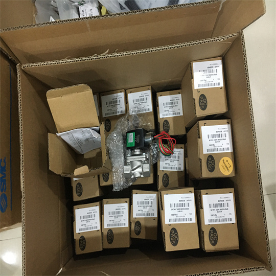 EF8210G088  24VDC (1).jpg