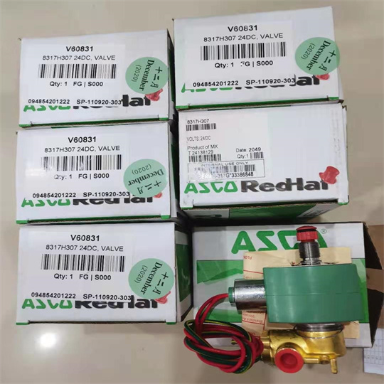 8317H307 24VDC. (2).jpg