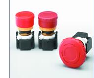 1553845705562543.jpg 4535=.jpg